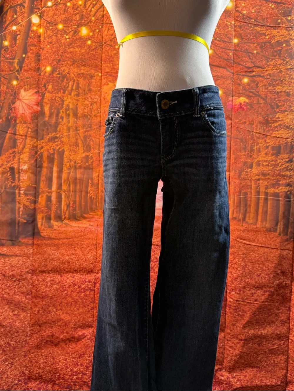 American Eagle Outfitters Dark Indigo Wide-Leg Jeans